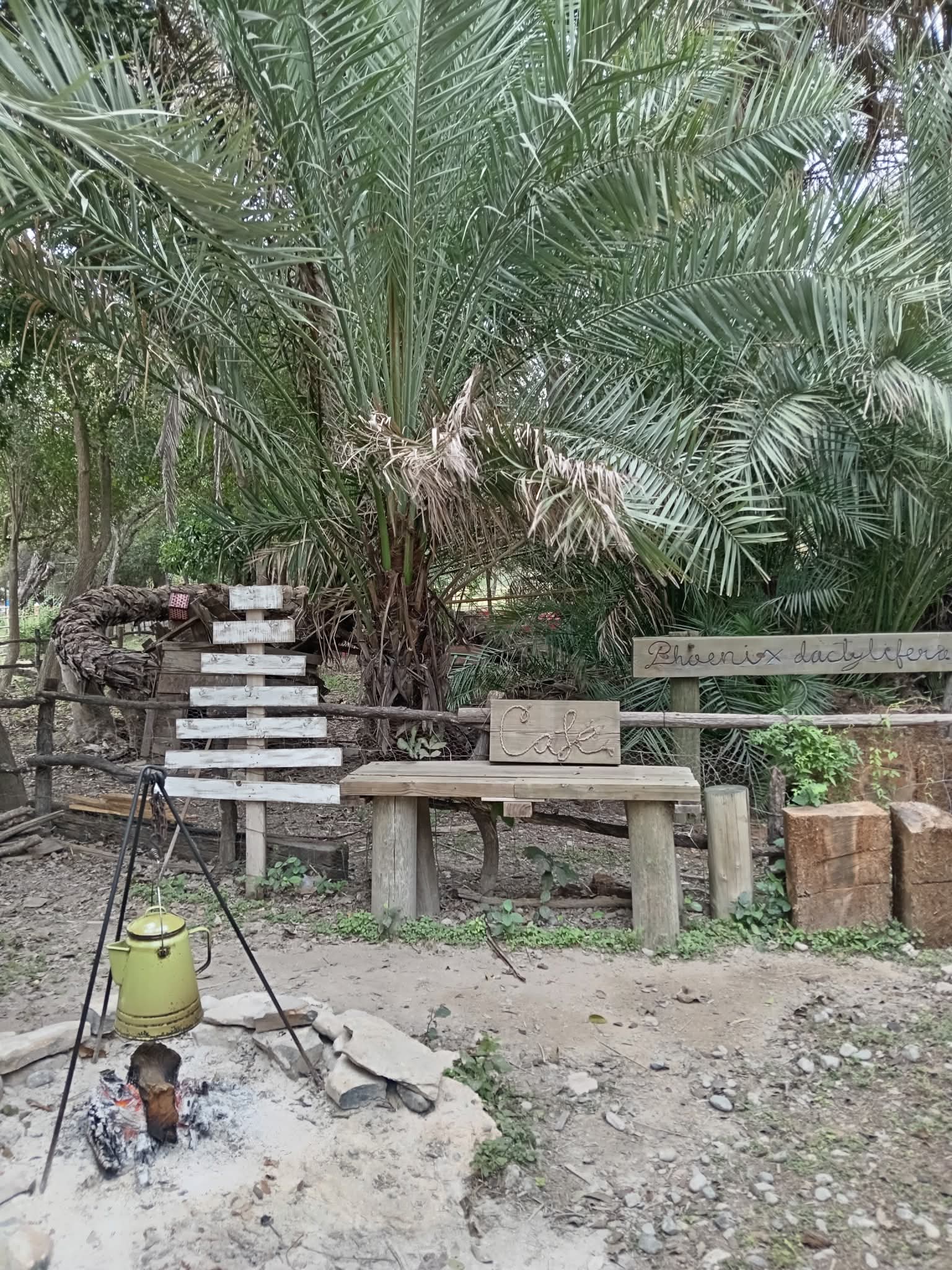 Fogata con jarra de café 