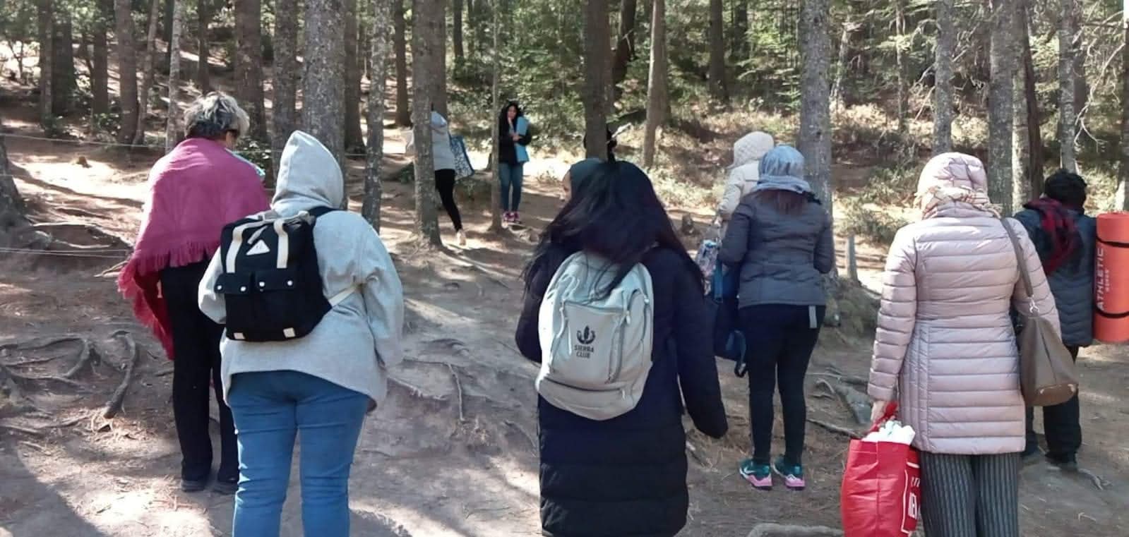 Mujeres caminando en el bosque 