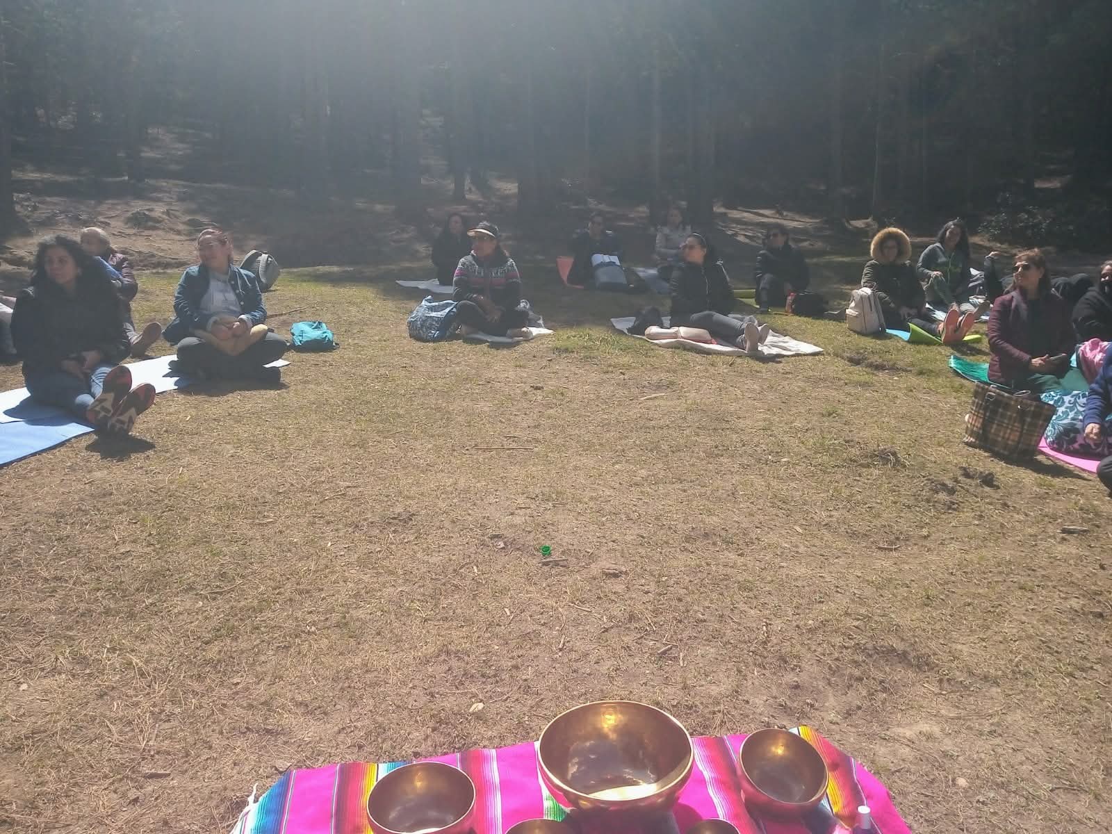 Personas meditando en el bosque 