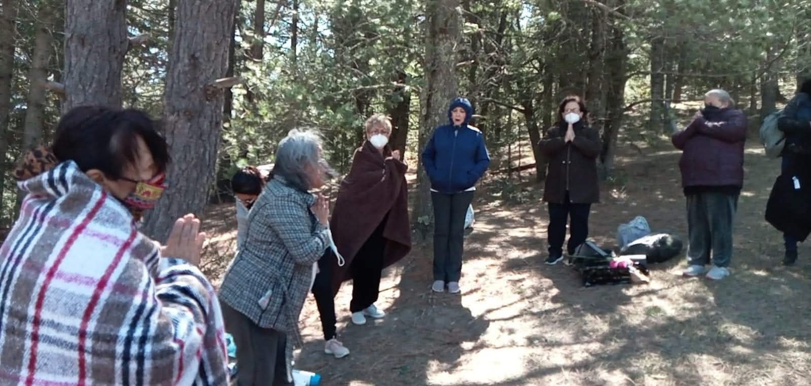 Mujeres en el bosque 
